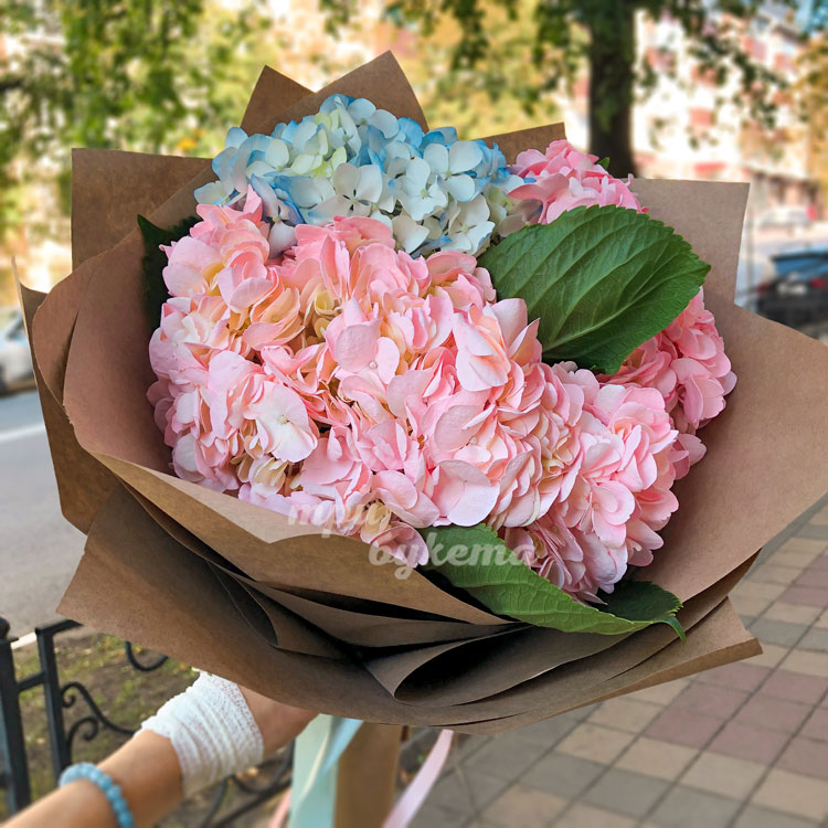 Букет из гортензий в крафте (в парке)