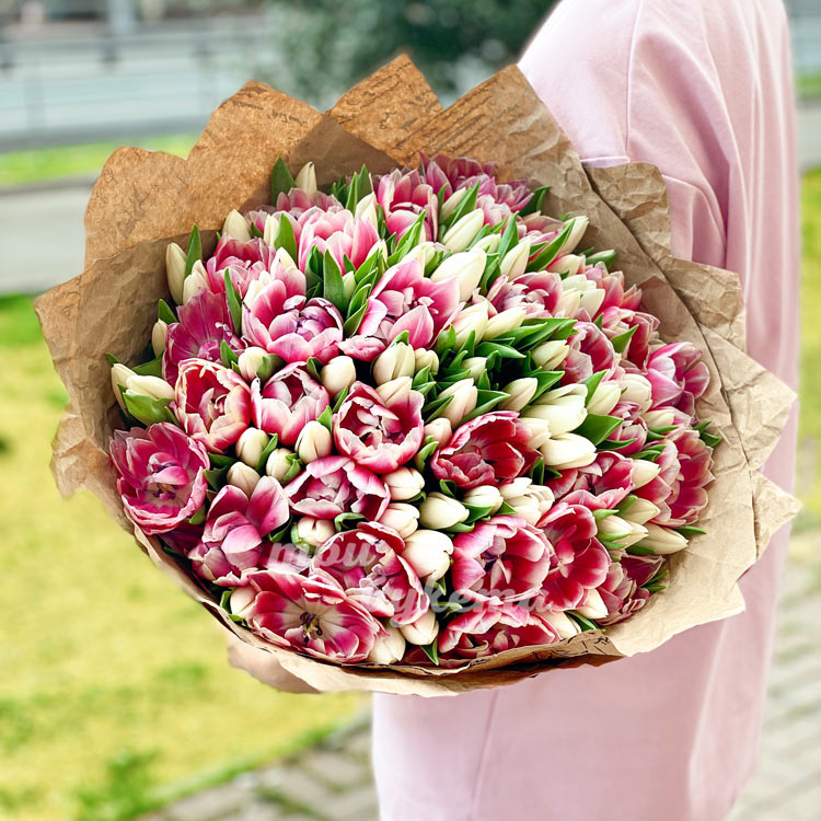 101 фиолетовый и белый тюльпан (в руках флориста)