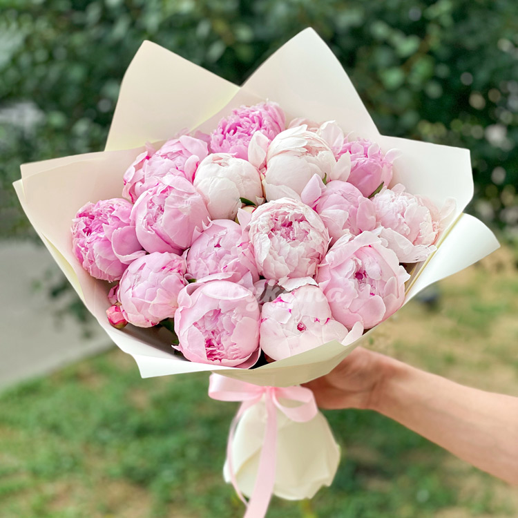 Светло-розовые пионы Premium 15 шт.