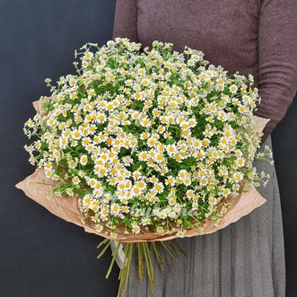Букет из 33 ромашек