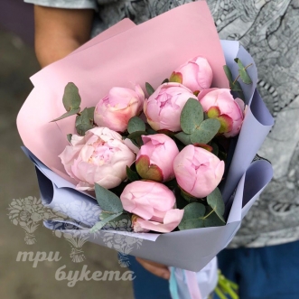 Букет из 8 розовых пионов