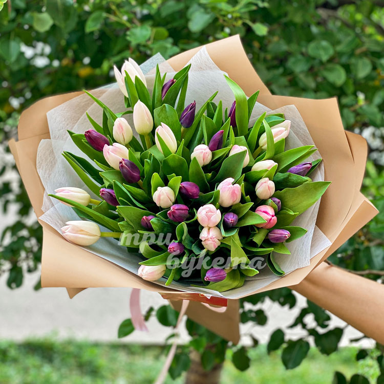 Букет фиолетовых и розовых тюльпанов (крупный план)