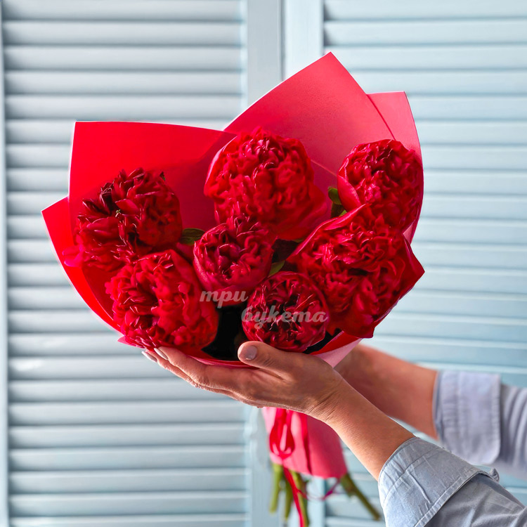 Букет из 7 пионов сорта Ред Шарм (вид сверху)